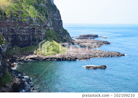 Oasehana懸崖 Oasehana懸崖 102109210