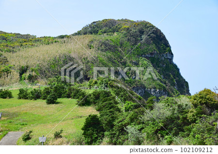 Oasehana Cliff 102109212