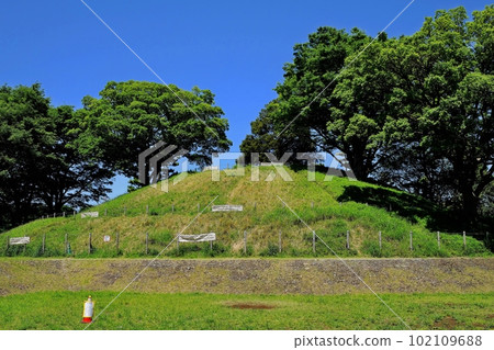 世田谷區末樹 102109688