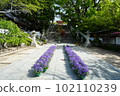 Large stone steps "Flower Corridor" 102110239