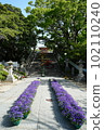 Large stone steps "Flower Corridor" 102110240