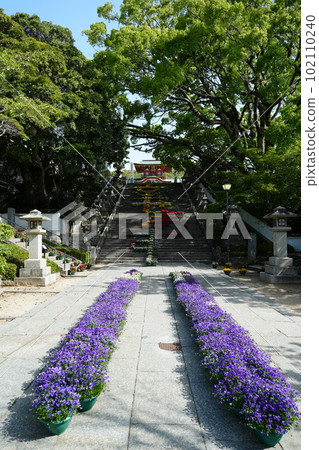 Large stone steps "Flower Corridor" 102110240