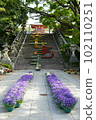 Large stone steps "Flower Corridor" 102110251