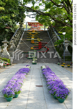 Large stone steps "Flower Corridor" 102110251