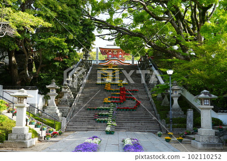 Large stone steps "Flower Corridor" 102110252