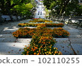Large stone steps "Flower Corridor" 102110255