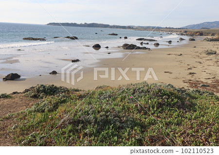 San Simeon beach California   102110523