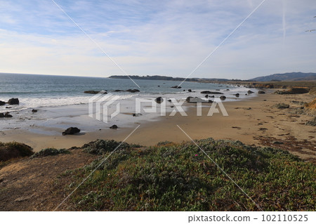 San Simeon beach California   102110525