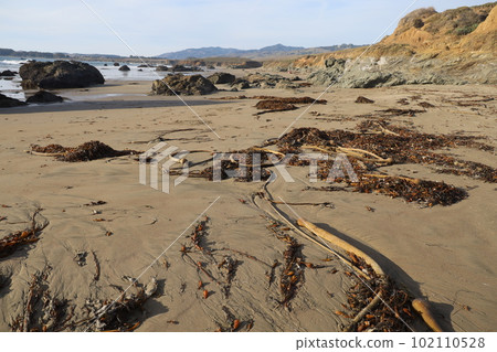 San Simeon beach California   102110528