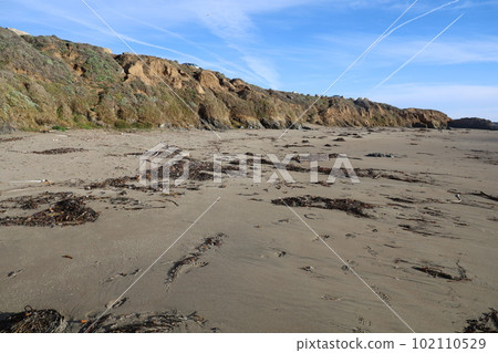 San Simeon beach California   102110529