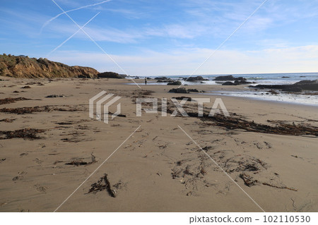 San Simeon beach California   102110530