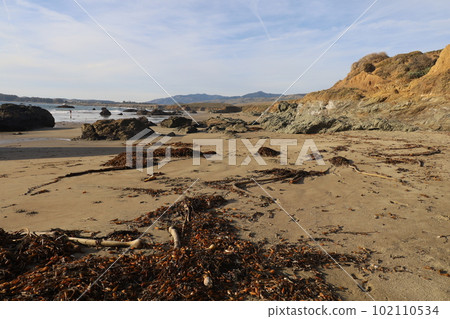 San Simeon beach California   102110534