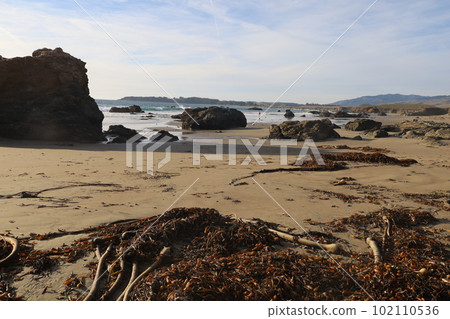 San Simeon beach California   102110536