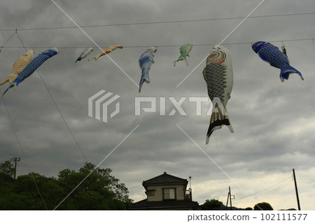 Carp streamers in Shimoda rice fields Carp streamers in Shimoda rice fields 102111577