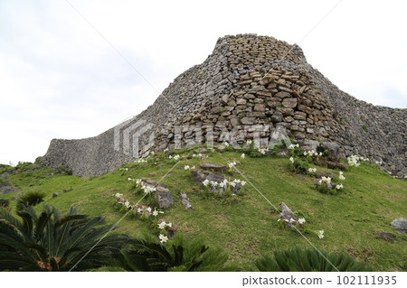 Nakijin Castle Ruins with Easter Lilies Blooming Nakijin Castle Ruins with Easter Lilies Blooming 102111935