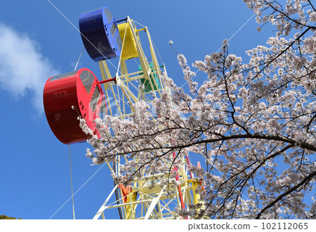 遊樂園和櫻花 102112065