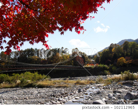 Autumn leaves and Komakusa Bridge Autumn leaves and Komakusa Bridge 102112965