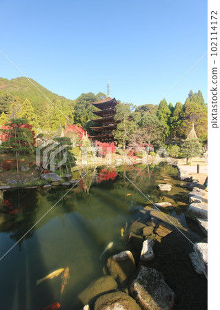 Rurikoji Temple five-storied pagoda with autumn leaves 102114172