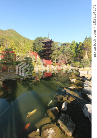 Rurikoji Temple five-storied pagoda with autumn leaves Rurikoji Temple five-storied pagoda with autumn leaves 102114173