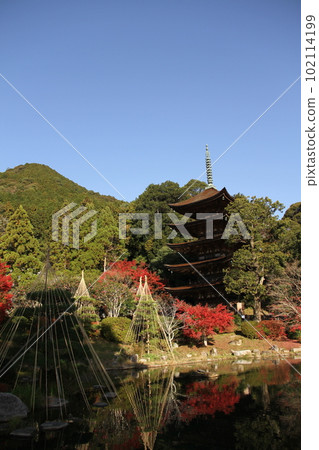 Rurikoji Temple five-storied pagoda with autumn leaves 102114199
