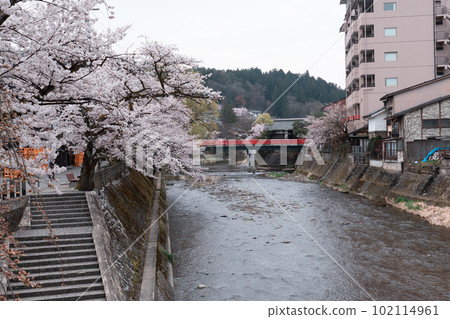 TAKAYAMA, JAPAN - APRIL 5, 2023 102114961