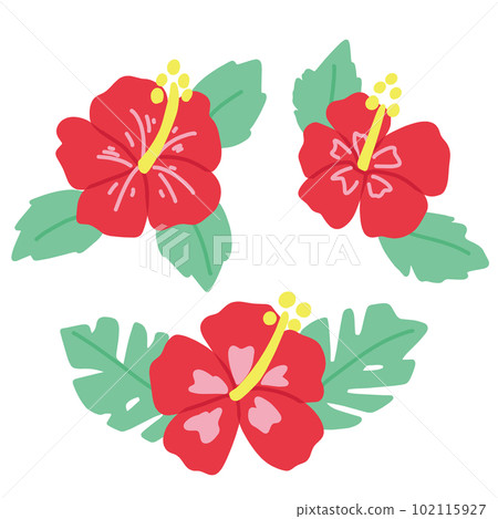 可愛的木槿無主線彩繪圖集 可愛的木槿無主線彩繪圖集 102115927