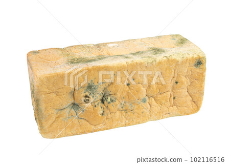 Moldy sliced bread loaf over a white background. Clipping path. Moldy sliced bread loaf over a white background. Clipping path. 102116516