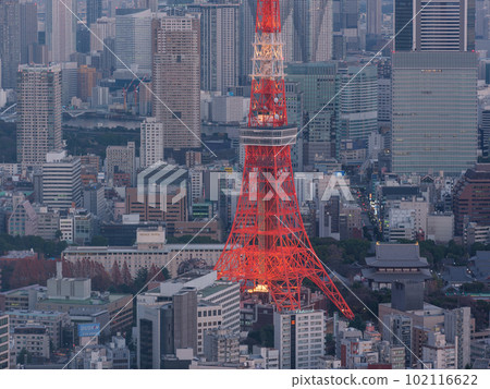 東京_點亮東京塔冬季色彩和大城市夜景 102116622