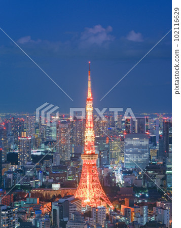 東京_點亮東京塔冬季色彩和大城市夜景 102116629