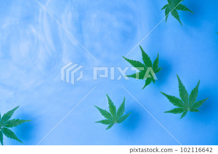 Water surface, blue maple and ripples 102116642