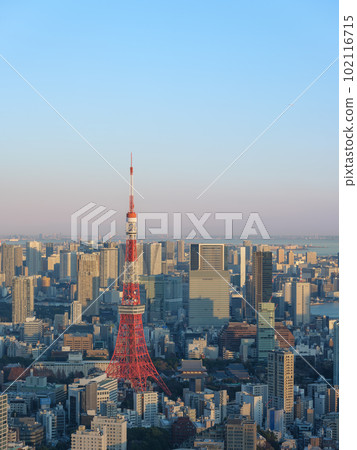 Tokyo _ Tokyo Tower and twilight scenery of the big city 102116715
