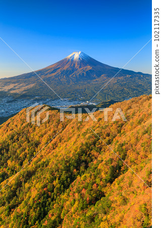 山梨縣_紅葉和富士山的壯麗景色 102117335