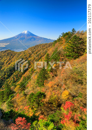 山梨縣_紅葉和富士山的壯麗景色 102117379