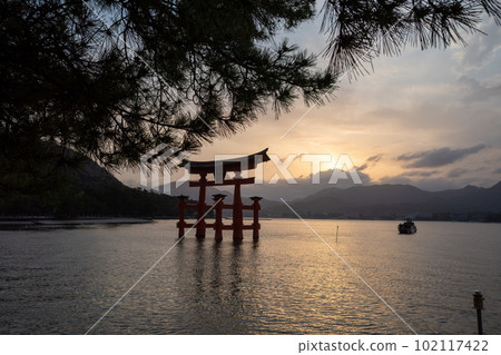 Otorii gate of Itsukushima Shrine, Hiroshima Miyajima, high tide at dusk Otorii gate of Itsukushima Shrine, Hiroshima Miyajima, high tide at dusk 102117422