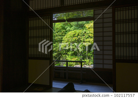 Motonobu's garden seen from the tatami room of Taizo-in, Myoshin-ji Temple Motonobu's garden seen from the tatami room of Taizo-in, Myoshin-ji Temple 102117557