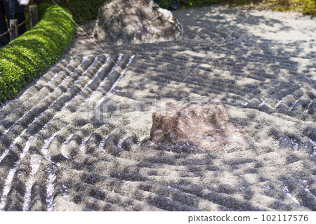 妙心寺太藏院陰陽紅枝垂櫻 102117576