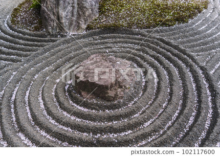 Myoshinji Temple Taizoin Garden of Yin and Yang Red Weeping Cherry 102117600