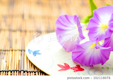 Summer festival 102118078