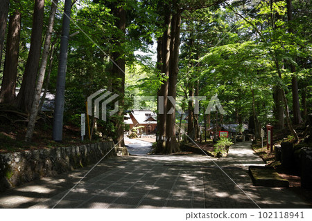 Scenery of Higashiguchi Hongu Fuji Sengen Shrine Scenery of Higashiguchi Hongu Fuji Sengen Shrine 102118941