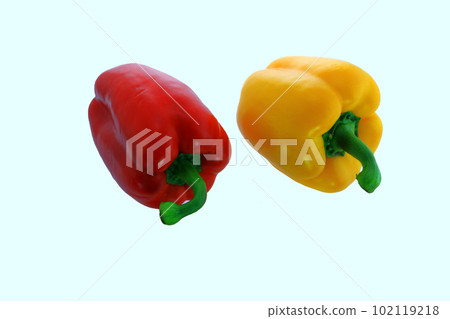 red and yellow pallica red and yellow pallica 102119218