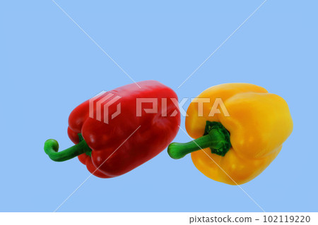 red and yellow pallica 102119220