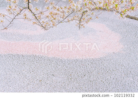 東北弘前城外護城河花筏春景 102119332