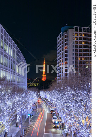 東京塔和欅坂的絕景在冬天被照亮 東京塔和欅坂的絕景在冬天被照亮 102119481