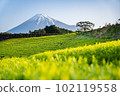 富士山和茶園 102119558