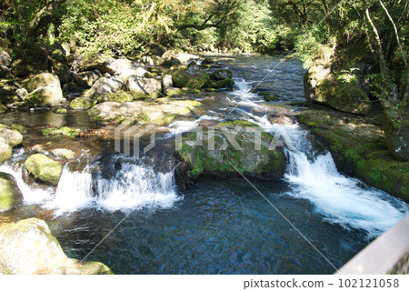 Bifurcated waterfall 102121058