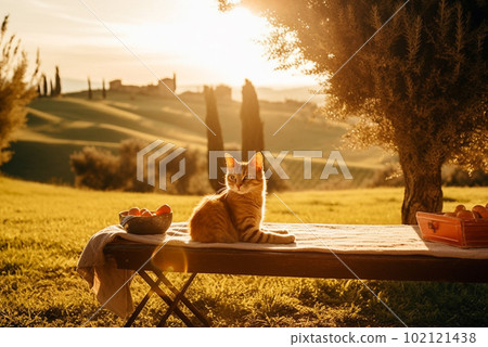 Ginger cat in Tuscany. Generative AI 102121438