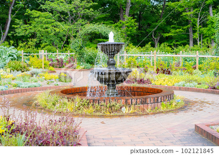 forest park fountain 102121845