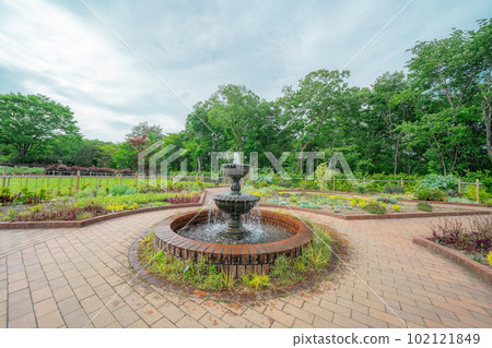 forest park fountain 102121849