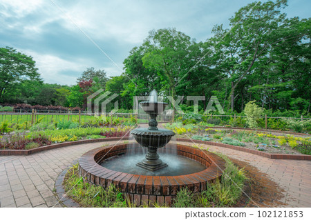 forest park fountain 102121853