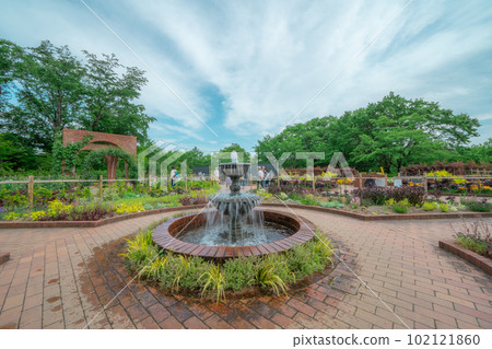 forest park fountain forest park fountain 102121860
